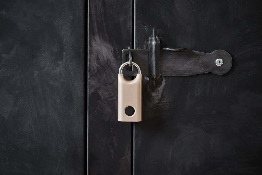 Lexon Design Nomaday Biometric Padlock