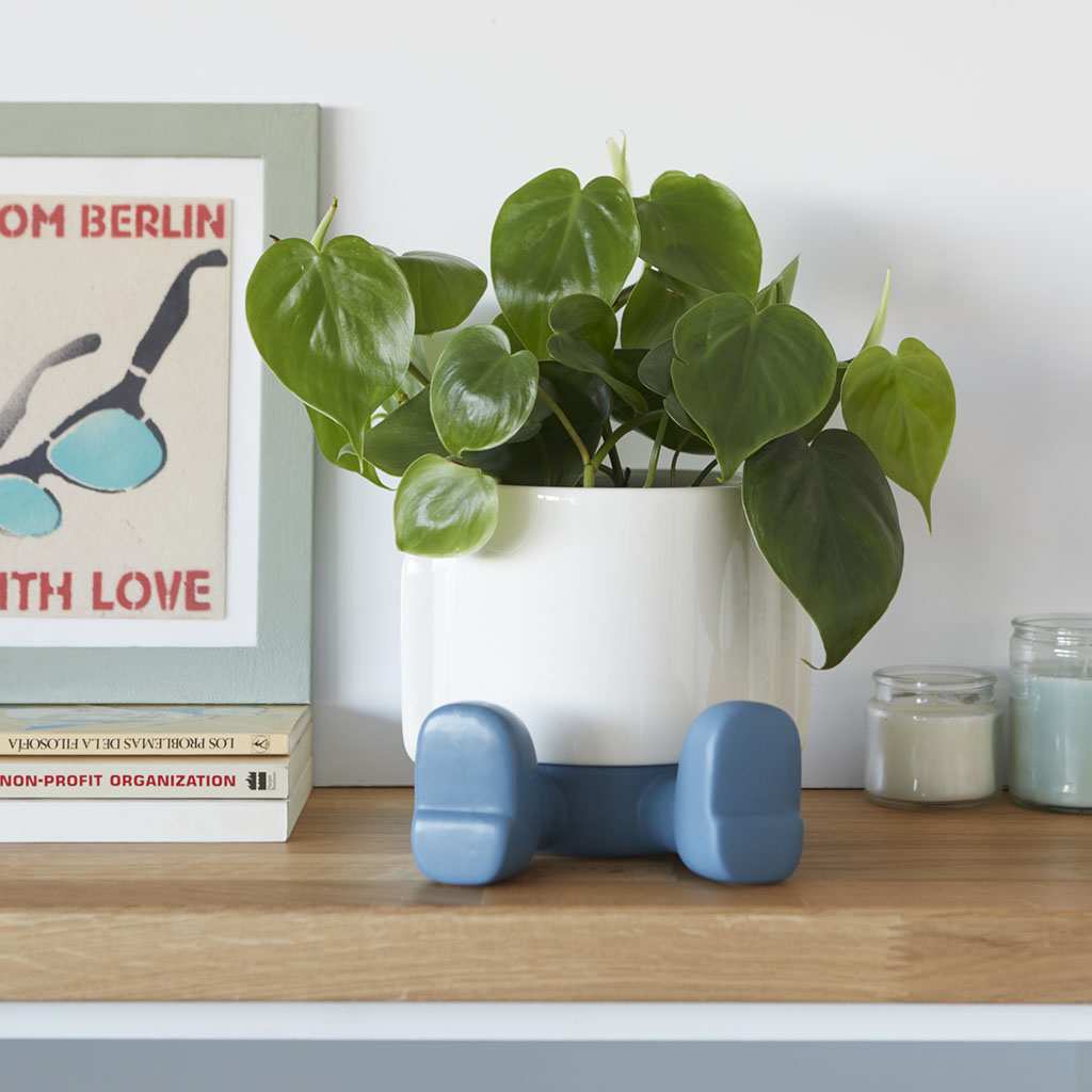 Balvi Ceramic Flower Pot Mr. Sitty - Image 8