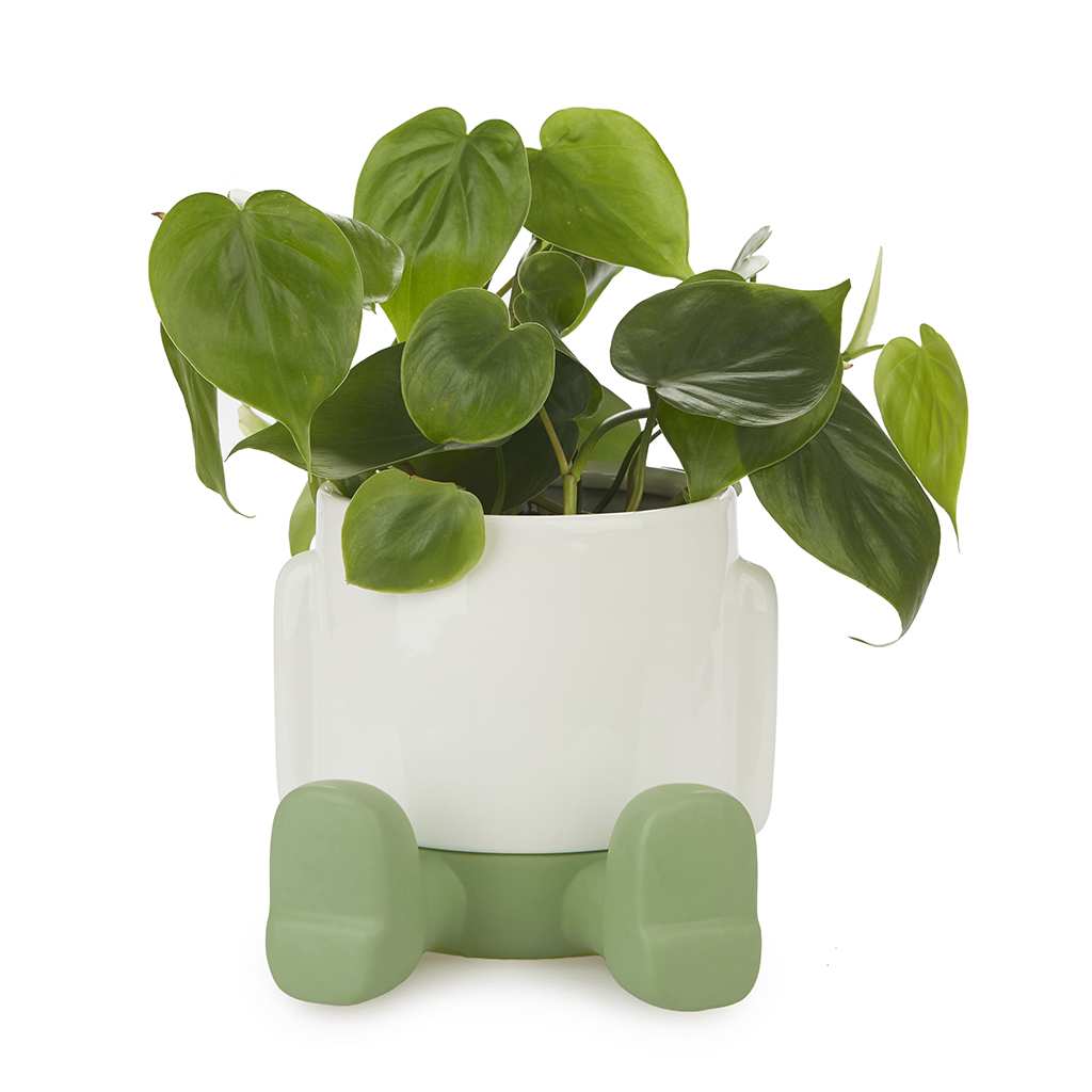 Balvi Flower Pot Ceramic Mr Sitty