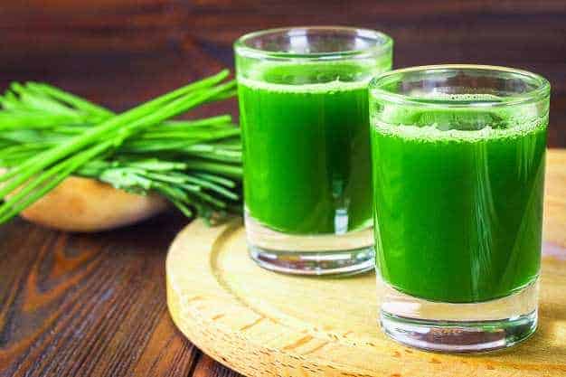 wheatgrass-shot-juice-from-wheat-grass-trend-health_71756-1448