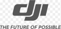 DJI