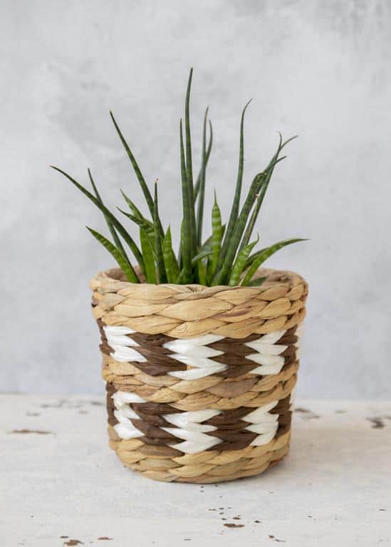 KitchenCraft Set of 2 Water Hyacinth Planters – Chevron
