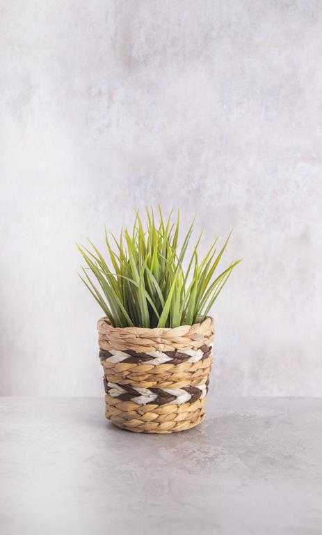 KitchenCraft Set of 2 Water Hyacinth Planters – Chevron