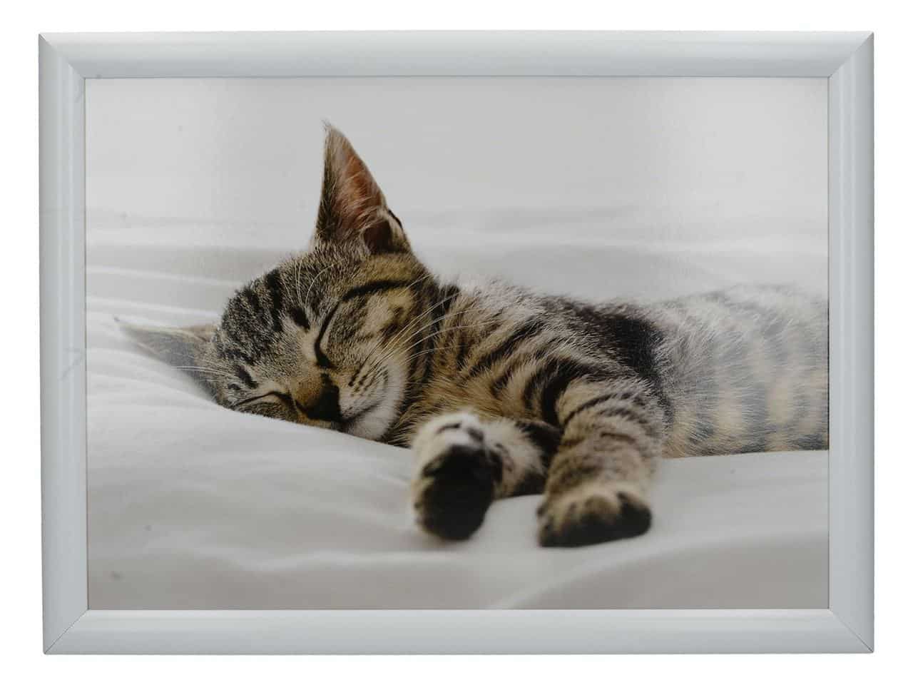 Creative_Tops_Laptray_Sleeping_Kitten
