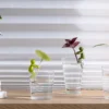 96118_1_Peleg_Leafriend_Plant_Propagation_Buddy