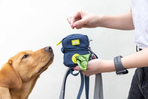 BUILT_PET_Duo_Poop_and_Treat_Bag_Blue