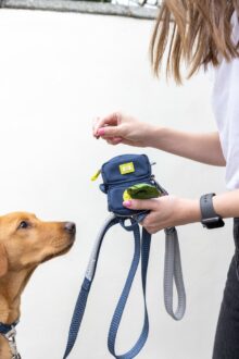 BUILT_PET_Duo_Poop_and_Treat_Bag_Blue