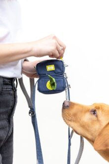 BUILT_PET_Duo_Poop_and_Treat_Bag_Blue